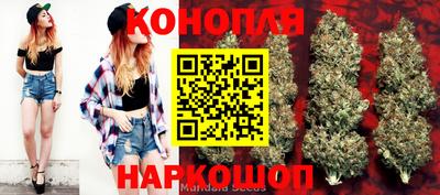эйфоретик Бузулук