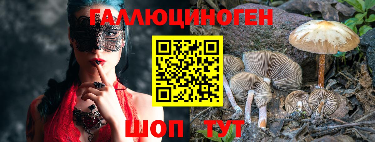 Псилоцибиновые грибы мухоморы Смоленск