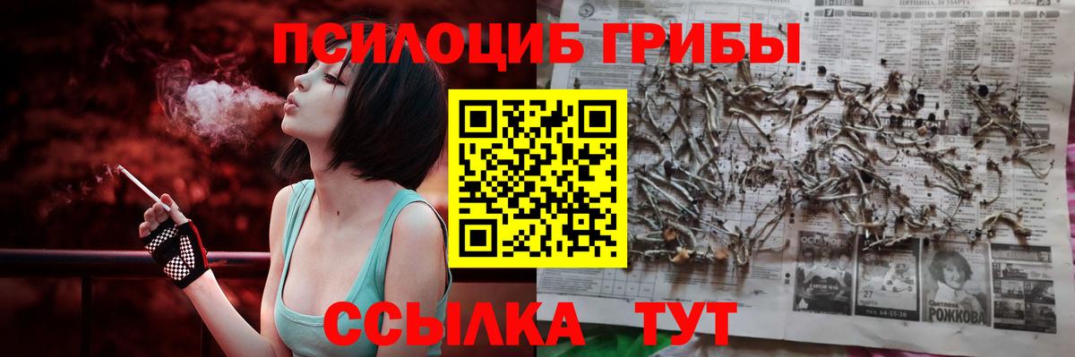 Псилоцибиновые грибы мухоморы  Галлюциногенные грибы Psilocybe  Смоленск  Вход с VPN 